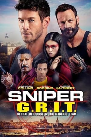 Sniper GRIT Global Response and Intelligence Team 2023 Hindi Dual Audio HDRip 720p – 480p Movie Poster