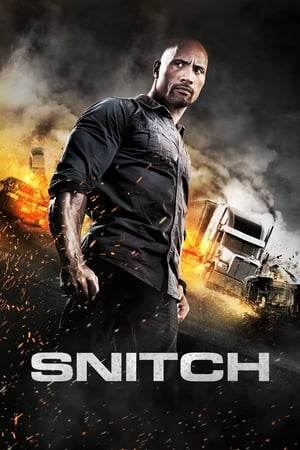 Snitch (2013) Hindi Dual Audio 480p BluRay 350MB Movie Poster