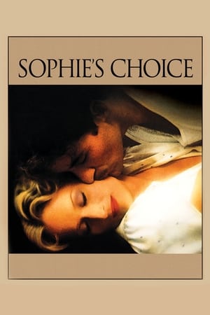 Sophie's Choice (1982) Dual Audio Hindi 480p BluRay 460MB Movie Poster