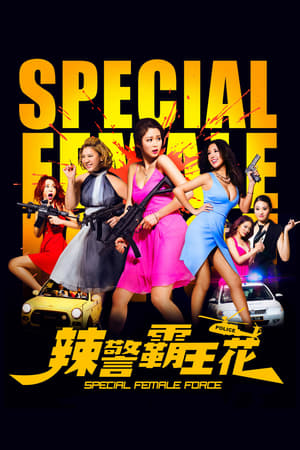 Special Female Force (2016) Hindi Dual Audio 480p BluRay 330MB Movie Poster