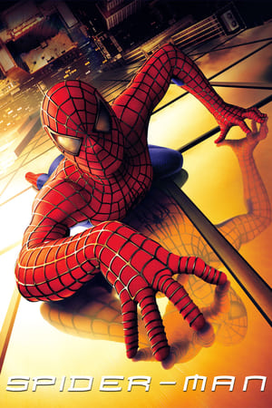 Spider-Man (2002) Hindi Dual Audio 480p BluRay 370MB Movie Poster