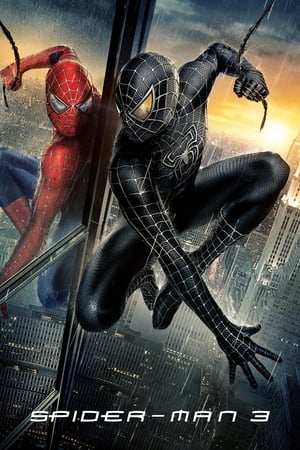 Spider-Man 3 (2007) Movie Hindi Dual Audio 720p Bluray [800MB] Movie Poster