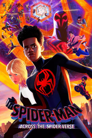 Spider-Man: Across the Spider-Verse 2023 Hindi (ORG) HDRip | 720p | 480p Movie Poster