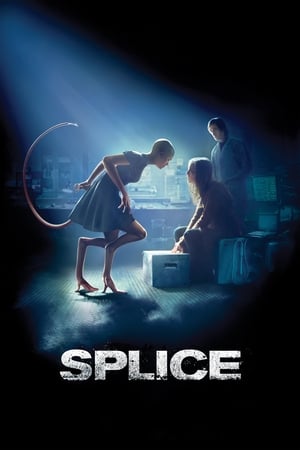 Splice 2009 Hindi Dual Audio 720p BluRay [1.3GB] Movie Poster