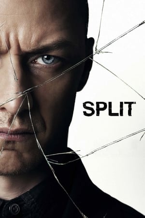 Split (2016) Movie HC HDRip 720p [900MB] Download Movie Poster