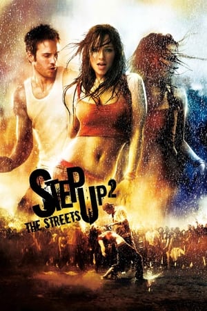 Step Up 2 The Streets 2008 Hindi Dual Audio 480p BluRay 300MB Movie Poster