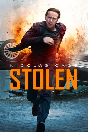 Stolen (2012) Hindi Dual Audio 480p BluRay 300MB ESubs Movie Poster