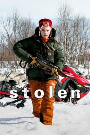 Stolen (2024) Hindi Dual Audio HDRip 1080p – 720p – 480p