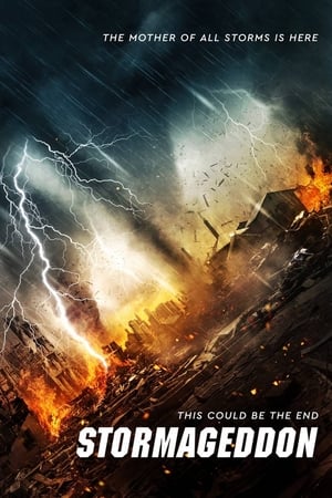 Stormageddon (2015) Hindi Dual Audio 480p BluRay 290MB Movie Poster