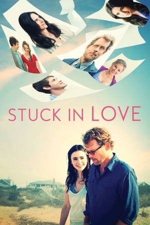 Stuck in Love (2012) Hindi Dual Audio 480p BluRay 300MB Movie Poster