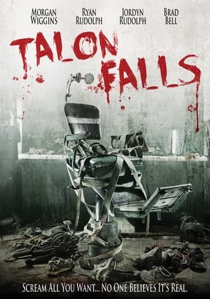 Talon Falls (2017) Hindi Dual Audio 480p BluRay 300MB Movie Poster