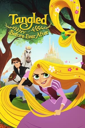 Tangled Before Ever After 2017 Dual Audio Hindi 180MB Web-DL Download Movie Poster