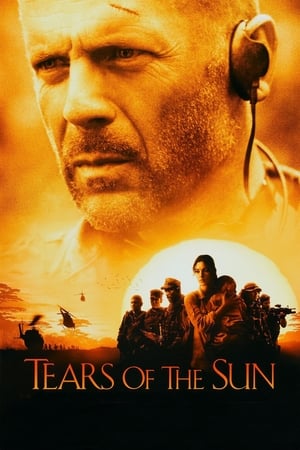 Tears of the Sun 2003 Hindi Dual Audio 480p BluRay 360MB Movie Poster