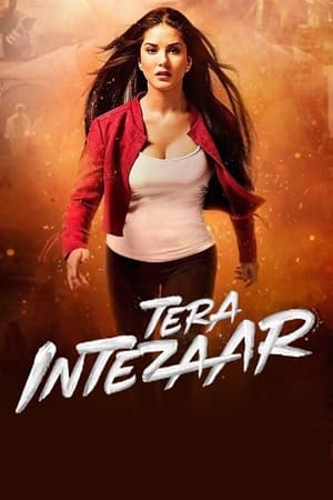 Tera Intezaar 2017 Movie 480p HDRip - [300MB] Movie Poster