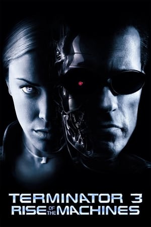 Terminator 3: Rise of the Machines (2003) Hindi Dual Audio 720p BluRay [850MB] Movie Poster