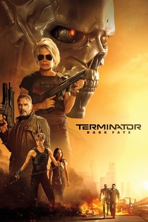 Terminator: Dark Fate (2019) Hindi (Org) Dual Audio 720p BluRay [1GB] Movie Poster