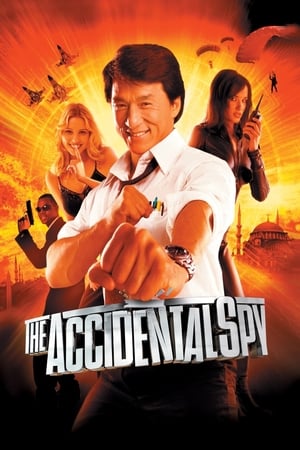 The Accidental Spy 2001 300MB Hindi Dubbed 480p HDRip Download Movie Poster