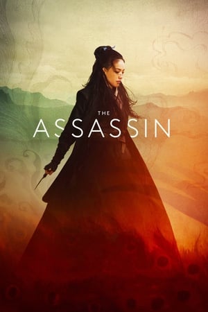 The Assassin 2015 Hindi Dual Audio 720p BluRay [1.1GB] Movie Poster