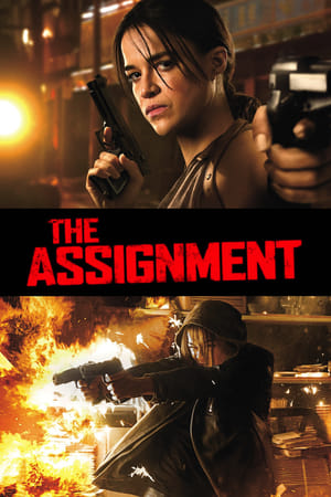 The Assignment (2016) Hindi Dual Audio 720p BluRay [850MB] Movie Poster