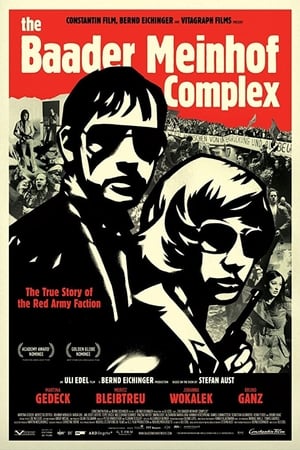 The Baader Meinhof Complex (2008) Hindi Dual Audio 480p HDRip 500MB Movie Poster