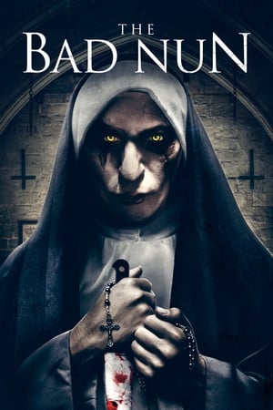 The Bad Nun 2018 Hindi Dual Audio 480p HDRip 300MB Movie Poster