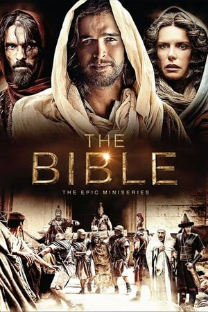 The Bible 2013 S01E05 (Hindi) Dubbed 720p BRRip [250MB] Movie Poster