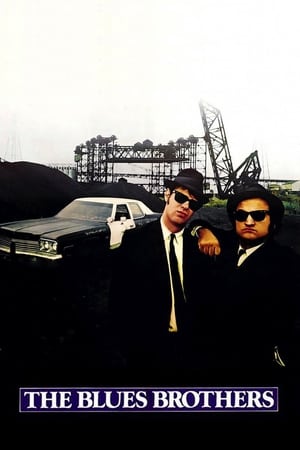 The Blues Brothers (1980) Hindi Dual Audio 480p BluRay 450MB ESubs Movie Poster