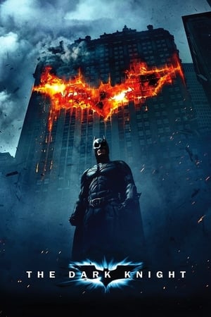 The Dark Knight (2008) Hindi Dual Audio Bluray 720p [1.0GB] Download Movie Poster