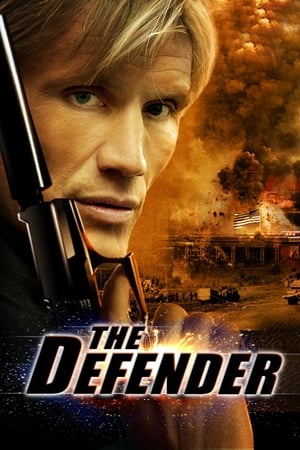 The Defender (2004) Hindi Dual Audio 480p BluRay 300MB Movie Poster