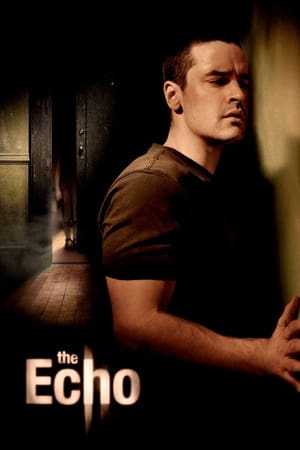 The Echo (2008) Hindi Dual Audio 720p BluRay [900MB] Movie Poster