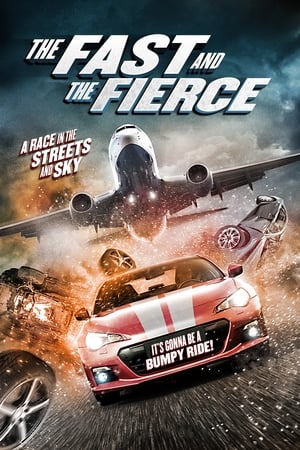 The Fast and the Fierce 2017 Hindi Dual Audio 720p BluRay [900MB] Movie Poster