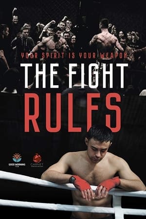 The Fight Rules 2017 Hindi Dual Audio 480p WebRip 260MB Movie Poster