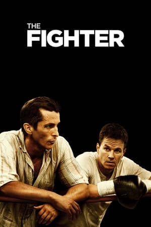 The Fighter (2010) Hindi Dual Audio 480p BluRay 360MB Movie Poster