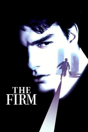 The Firm (1993) Hindi Dual Audio 480p BluRay 450MB Movie Poster