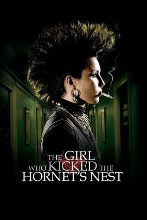 The Girl Who Kicked the Hornet's Nest (2009) Hindi Dual Audio 480p BluRay 450MB Movie Poster