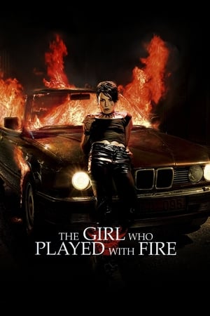 The Girl Who Played with Fire (2009) Hindi Dual Audio 720p BluRay [800MB] Movie Poster