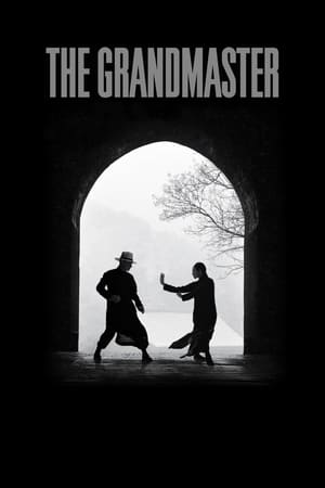 The Grandmaster (2013) Hindi Dual Audio 720p BluRay [1GB] ESubs Movie Poster