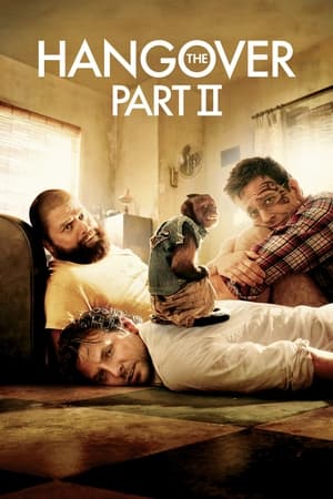 The Hangover Part II (2011) Hindi Dual Audio 720p BluRay [750MB] Movie Poster