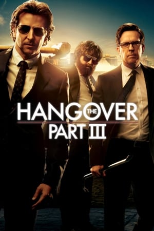 The Hangover Part III (2013) Hindi Dual Audio 480p BluRay 300MB Movie Poster