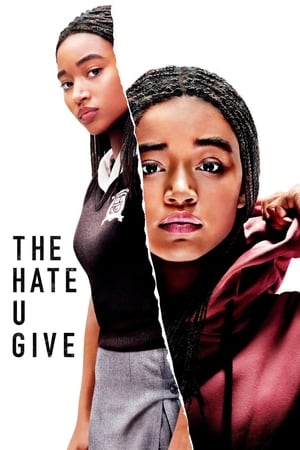 The Hate U Give (2018) Hindi Dual Audio 480p BluRay 450MB Movie Poster