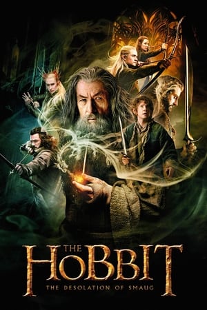 The Hobbit The Desolation of Smaug (2013) Hindi Dual Audio Movie Hevc [200MB] BRRip Movie Poster