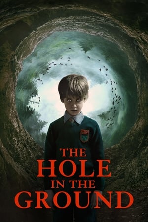 The Hole in the Ground 2019 Hindi Dual Audio 720p BluRay [830MB] Movie Poster