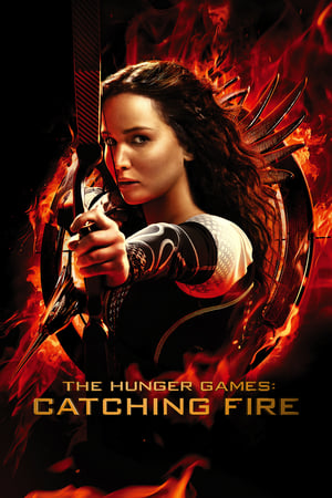 The Hunger Games Catching Fire 2013 Hindi Dual Audio 480p BluRay 480MB Movie Poster