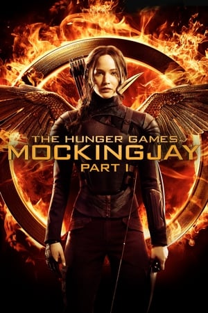 The Hunger Games: Mockingjay - Part 1 (2014) Hindi Dual Audio 720p BluRay [1.1GB] Movie Poster