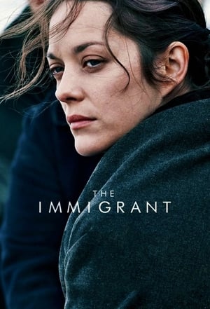 The Immigrant (2013) Hindi Dual Audio 480p BluRay 300MB Movie Poster