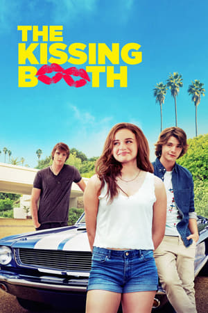 The Kissing Booth 2018 Hindi Dual Audio 480p Web-DL 350MB Movie Poster