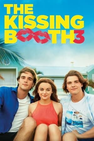 The Kissing Booth 3 2021 Hindi Dual Audio 480p Web-DL 350MB Movie Poster