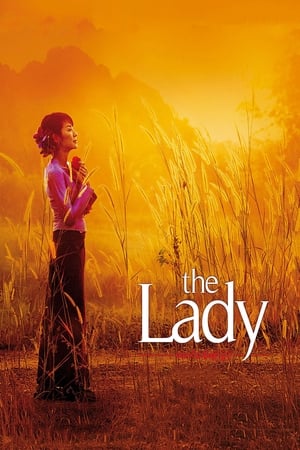 The Lady 2011 Dual Audio Hindi 480p Bluray 400MB Movie Poster