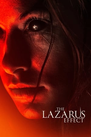 The Lazarus Effect (2015) Hindi Dual Audio 720p BluRay [800MB] Movie Poster