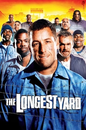 The Longest Yard (2005) Hindi Dual Audio 480p Web-DL 350MB Movie Poster